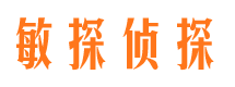 上街敏探私家侦探公司